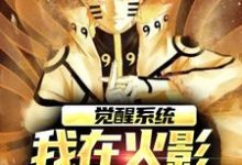 觉醒系统,我在火影世界赢麻了小说的无弹窗阅读体验,寻找免费阅读网站-侠客文学