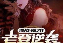 谍战：刚20，老登逆袭什么鬼？小说的无弹窗阅读体验，寻找免费阅读网站-侠客文学