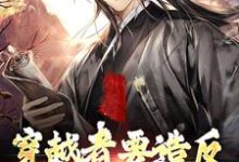 穿越者要造反,结果成保国了!这本小说完结了吗?免费查看最新章节-侠客文学