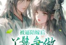 被逼陪嫁后，丫鬟争做后宫第一人这本小说在哪里可以看？哪里有免费试读章节？-侠客文学