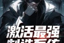 小说《激活最强制造系统,哥成了绝世天才》章节阅读-侠客文学