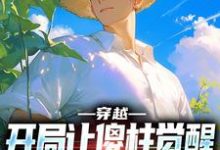 小说《穿越：开局让傻柱觉醒，不做舔狗》章节免费阅读-侠客文学