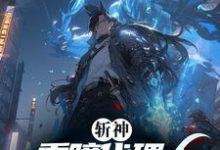 斩神：重瞳代理人，开局麒麟宝术石辰小说大结局免费试读-侠客文学