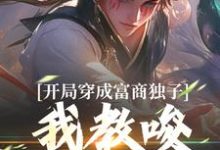 杨安小说叫什么（开局穿成富商独子，我教唆老爹造反免费阅读）-侠客文学