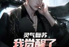 灵气复苏：我觉醒了香火功德系统李长安，灵气复苏：我觉醒了香火功德系统最新章节-侠客文学