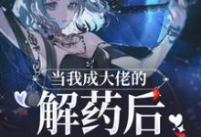 当我成大佬的解药后,逃不掉了!这本小说完结了吗?免费查看最新章节-侠客文学