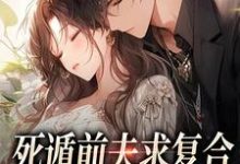 《死遁前夫求复合，再婚老公红了眼》小说章节在线试读，《死遁前夫求复合，再婚老公红了眼》最新章节目录-侠客文学