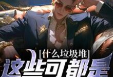 小说《什么垃圾堆?这些可都是科技神器!》章节免费阅读-侠客文学