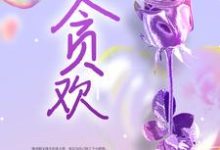 顾昭沈喻小说叫什么（贪欢免费阅读）-侠客文学