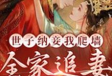 完结版《世子纳妾我爬墙,全家追妻悔断肠》章节阅读-侠客文学