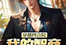穿越四合院：我的智商震惊高层易鑫，穿越四合院：我的智商震惊高层在线无弹窗阅读-侠客文学