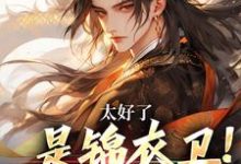 太好了，是锦衣卫！邪教要凉了林风，太好了，是锦衣卫！邪教要凉了章节在线阅读-侠客文学