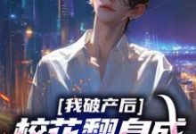 我破产后，校花翻身成总裁要养我？（陈述苏晴晚）在线免费阅读-侠客文学