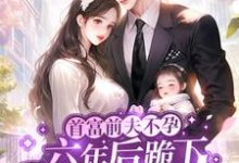 宋时今傅寒舟小说缠绵过后，心机霸总不装了在线阅读章节-侠客文学