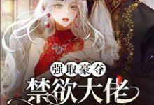 已完结小说《强取豪夺:禁欲大佬独宠我一人》章节免费阅读-侠客文学