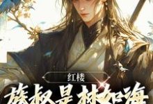 红楼：族叔是林如海，在线当大佬这本小说在哪里可以看？哪里有免费试读章节？-侠客文学