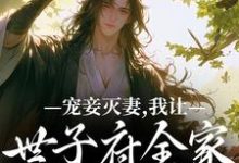 盛知婉商行聿小说宠妾灭妻，我让世子府全家跪地求饶章节免费阅读-侠客文学