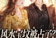 小说《风水宝坟被占了?霸总你让让我》章节阅读-侠客文学