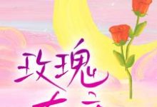 《玫瑰有瘾》小说章节在线试读，《玫瑰有瘾》最新章节目录-侠客文学