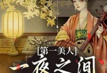 沐青婼楚云珩小说叫什么（第一美人，一夜之间沦为笑柄免费阅读）-侠客文学