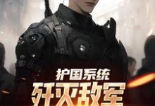 哪里能找到护国系统：歼灭敌军我一拳就搞定小说的全部章节？-侠客文学