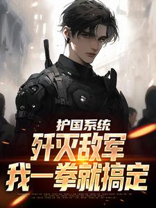 护国系统：歼灭敌军我一拳就搞定最新章节，护国系统：歼灭敌军我一拳就搞定免费阅读