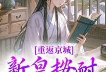 小说《重返京城，新皇按耐不住了！》章节免费阅读-侠客文学