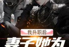 完结版《我升职后,妻子她为何不开心?》免费阅读-侠客文学