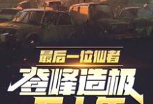 免费看最后一位仙者，登峰造极五十年小说的网站有哪些？-侠客文学