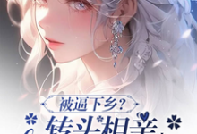 《被逼下乡？转头相亲嫁首长被娇宠》全集免费在线阅读（苏雨清沈霆钧）-侠客文学