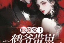 他超爱！鹤爷带崽上门求名分（苏墨菀商鹤野）在线免费阅读-侠客文学