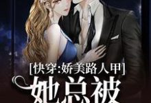 快穿：娇美路人甲她总被男主觊觎贺知瑶宋闻璟小说免费阅读-侠客文学