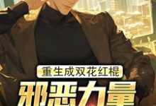 裴寂小说《重生成双花红棍，邪恶力量颤抖吧！》在线阅读-侠客文学