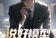 说好模型，你真飞起来了？这本小说在哪里可以看？哪里有免费试读章节？-侠客文学