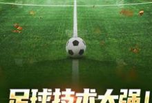 完结版《足球技术太强!我,控场球王》在线免费阅读-侠客文学