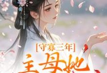 已完结小说《守寡三年,主母她一夜有喜》章节在线阅读-侠客文学