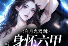 白月光驾到身怀六甲，京圈炸燃了小说全文哪里可以免费看？-侠客文学