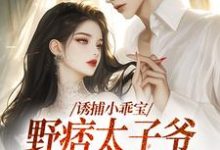 诱捕小乖宝，野痞太子爷强势攻陷小说，诱捕小乖宝，野痞太子爷强势攻陷免费阅读-侠客文学