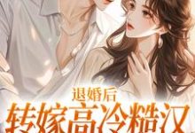 小说《退婚后转嫁高冷糙汉,渣男悔疯了》章节免费阅读-侠客文学