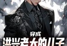 穿成洪兴老大的儿子，我满满正能量这本小说完结了吗？免费查看最新章节-侠客文学