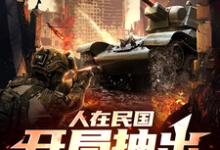 哇哇哇哇！身处民国的我变大佬小说完结版章节免费阅读-侠客文学