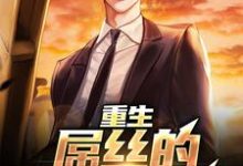 重生：屌丝的逆袭之路小说的免费阅读版本在哪里可以找到？-侠客文学