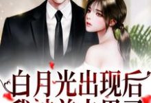白月光出现后，我被前夫甩了小说免费资源，白月光出现后，我被前夫甩了在线阅读-侠客文学
