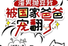 在线寻找渣男抛弃我，被国家爸爸宠翻了小说的无删减版本-侠客文学