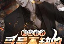 向钱看齐?哥最不缺的就是这个小说有没有完整的免费版本在线阅读?-侠客文学