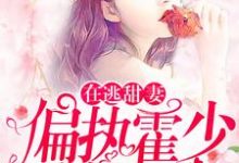 在逃甜妻：偏执霍少放肆宠小说的免费阅读版本在哪里可以找到？-侠客文学