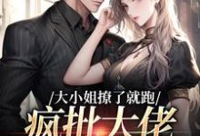 大小姐撩了就跑,疯批大佬红了眼小说,大小姐撩了就跑,疯批大佬红了眼贺今朝裴宴京-侠客文学