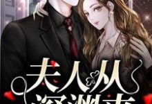 已完结小说《夫人从深渊来》章节免费阅读-侠客文学