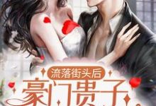 流落街头后，豪门贵子成了爹系男友小说的免费电子版在哪里可以下载或阅读？-侠客文学