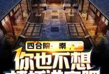 求推荐可以免费阅读四合院：秦，你也不想棒梗进牢吧小说的网站-侠客文学